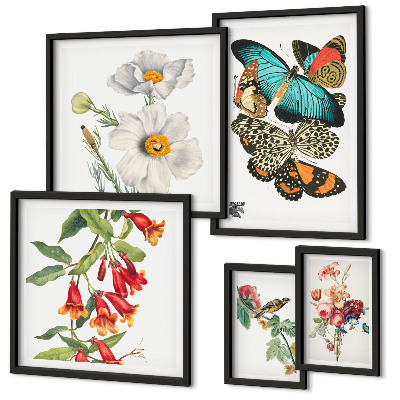 Bildergalerie-set für die wand Blumen, Schmetterlinge, Vögel, Vintage-Dekorationen
