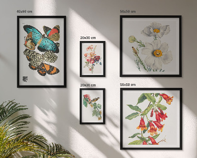 Bildergalerie-set für die wand Blumen, Schmetterlinge, Vögel, Vintage-Dekorationen
