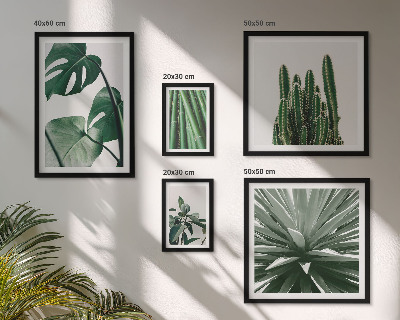 Modernes wandbilder-set Grüne tropische Zimmerpflanzen