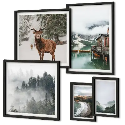 Modernes Wandbilder-Set mit Motiven von Natur, Tierwelt und Bergen