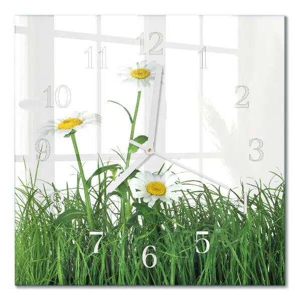 Quadratische wanduhr modern Gänseblümchen