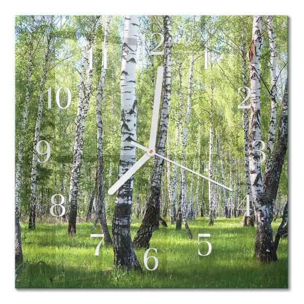Wanduhr mit motiv quadratisch Birkenwald