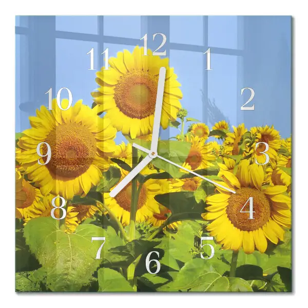 Quadratische wanduhr modern Sonnenblumen