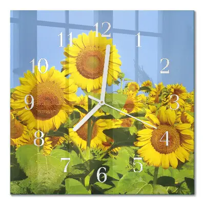 Quadratische wanduhr modern Sonnenblumen