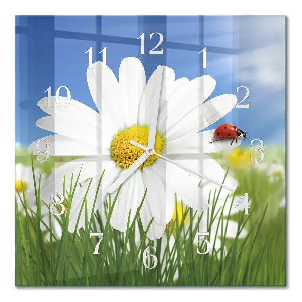 Moderne wanduhr quadratisch Die Blume und der Marienkäfer
