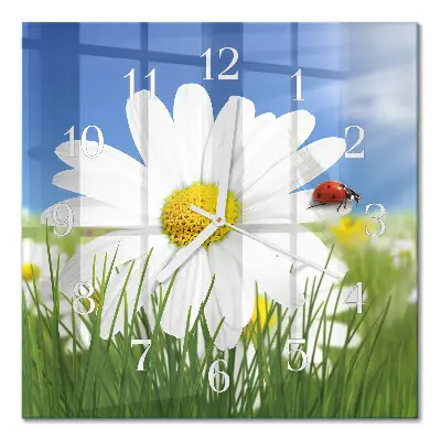 Moderne wanduhr quadratisch Die Blume und der Marienkäfer