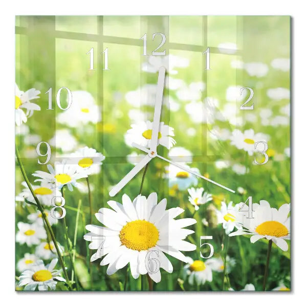 Quadratische wanduhr modern Gänseblümchen