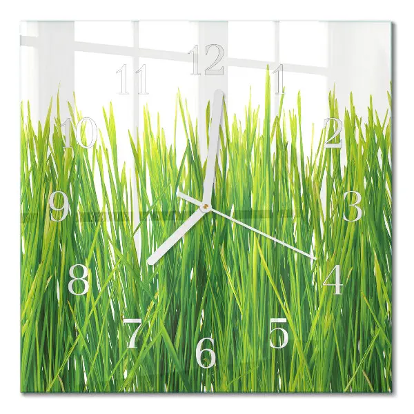 Glasuhr quadratisch Gras