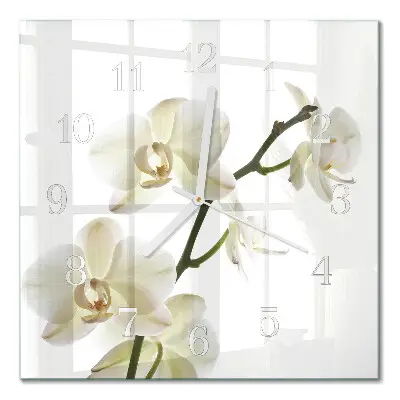Quadratische wanduhr modern Orchidee