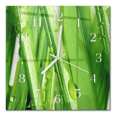 Quadratische wanduhr modern Gras