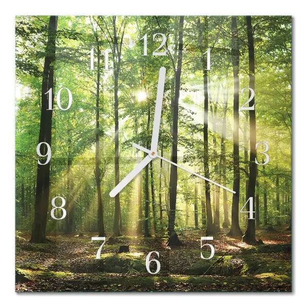 Wanduhr mit motiv quadratisch Waldnatur