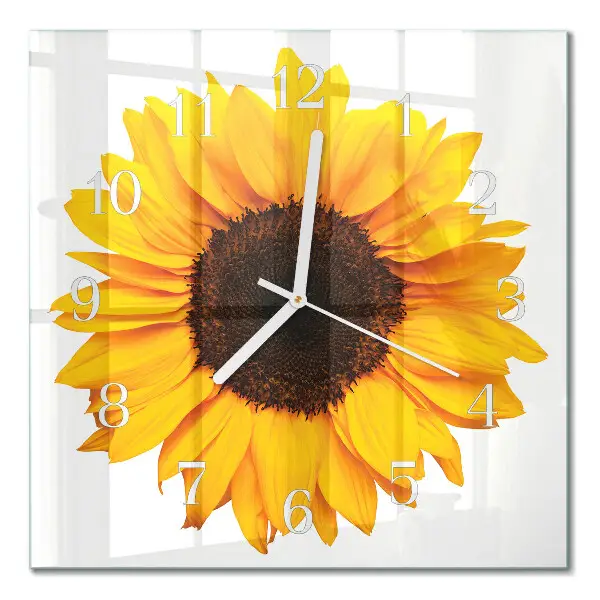 Wanduhr mit motiv quadratisch Sonnenblume