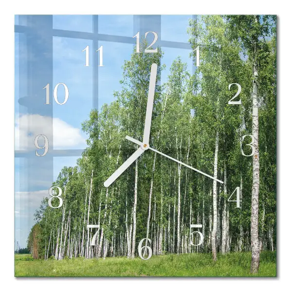 Quadratische wanduhr Birken