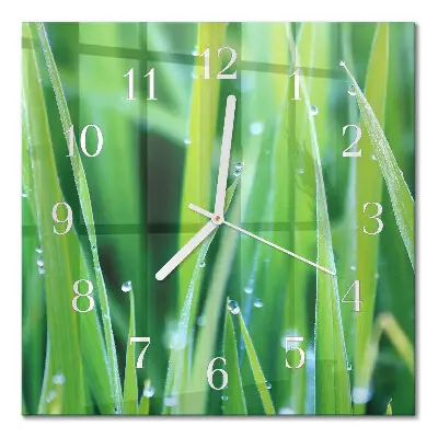 Moderne wanduhr quadratisch Gras