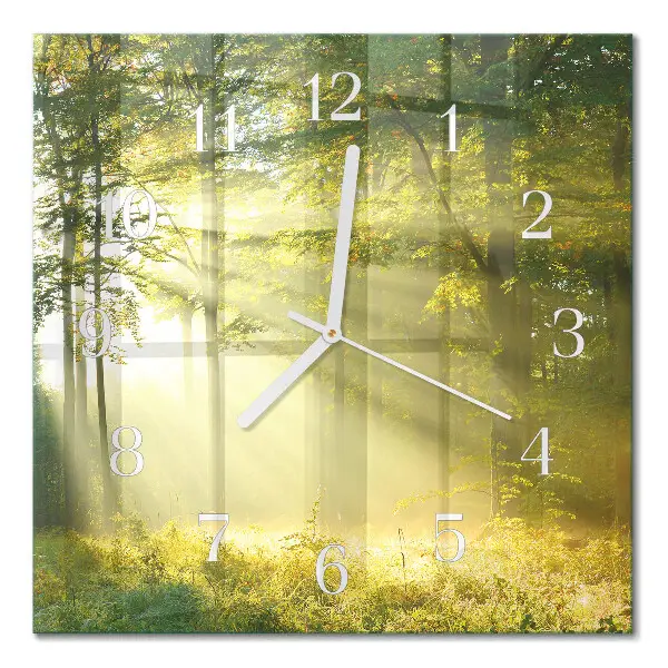 Wanduhr mit motiv quadratisch Wald