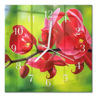Quadratische wanduhr modern Orchidee