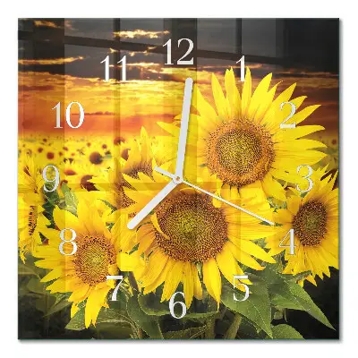 Moderne wanduhr quadratisch Sonnenblumen