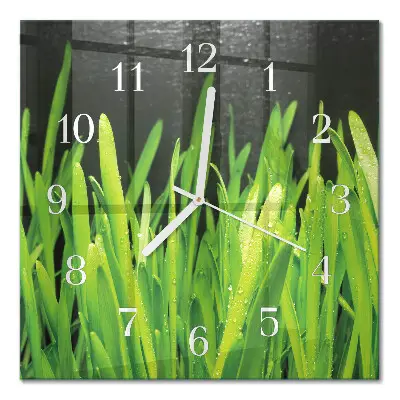 Quadratische wanduhr modern Gras