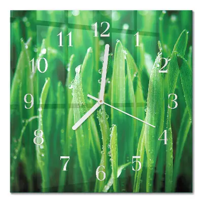Quadratische wanduhr Grünes Gras