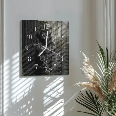 Quadratische wanduhr modern Gorilla