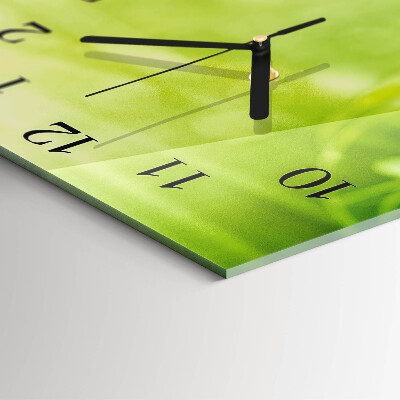 Wanduhr mit motiv quadratisch Gras
