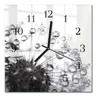 Quadratische wanduhr modern Löwenzahn