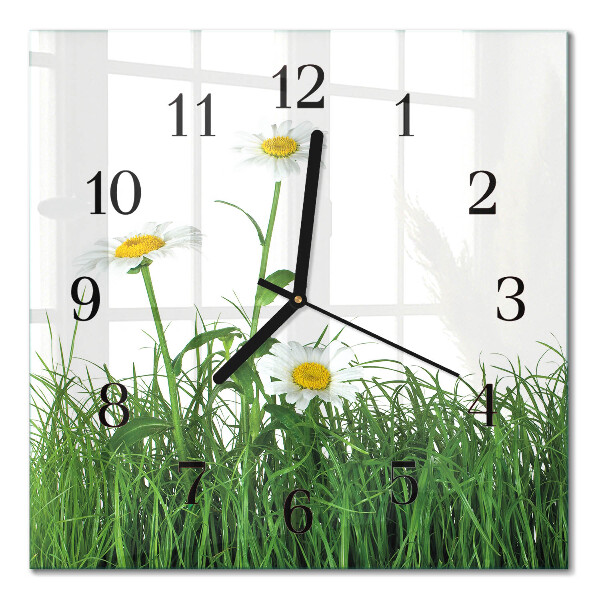 Wanduhr mit motiv quadratisch Gänseblümchen