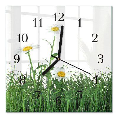 Wanduhr mit motiv quadratisch Gänseblümchen