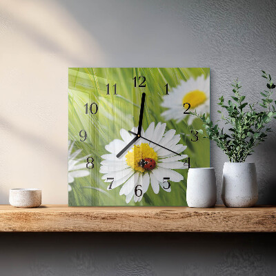 Glasuhr quadratisch Gänseblümchen