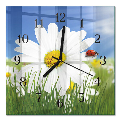 Glasuhr quadratisch Die Blume und der Marienkäfer