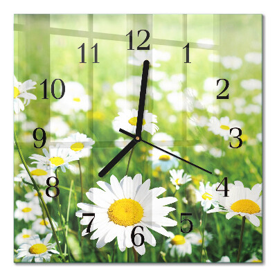 Wanduhr mit motiv quadratisch Gänseblümchen