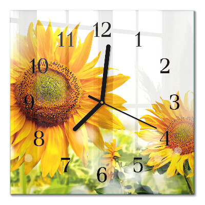 Moderne wanduhr quadratisch Sonnenblume