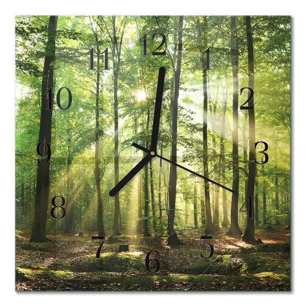 Quadratische wanduhr modern Waldnatur