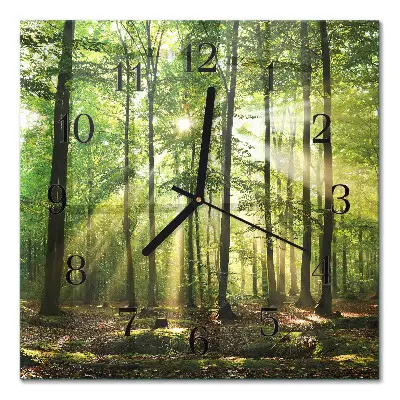 Quadratische wanduhr modern Waldnatur