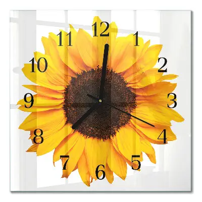 Quadratische wanduhr modern Sonnenblume