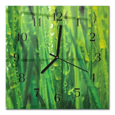 Quadratische wanduhr Gras