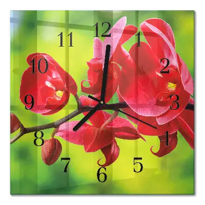 Wanduhr mit motiv quadratisch Orchidee