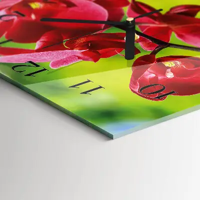 Wanduhr mit motiv quadratisch Orchidee