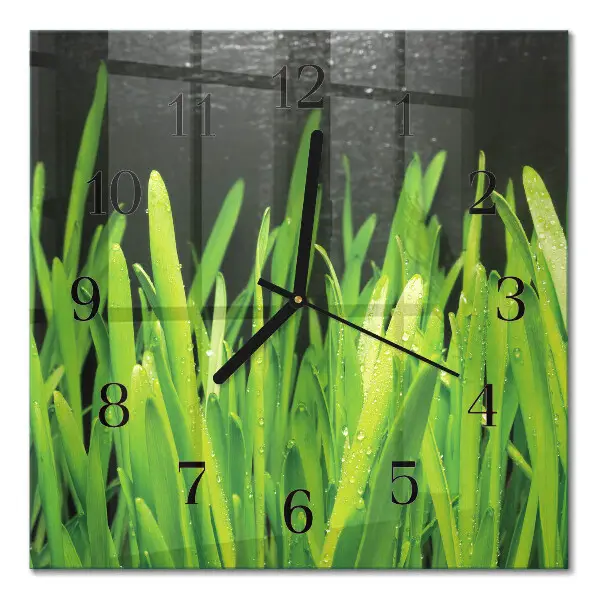 Wanduhr mit motiv quadratisch Gras