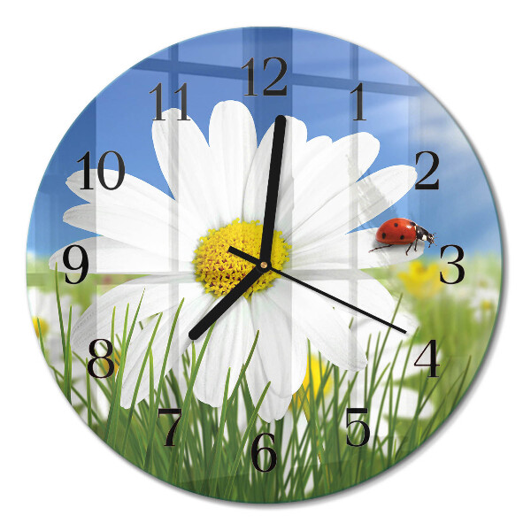Runde wanduhr aus glas Die Blume und der Marienkäfer