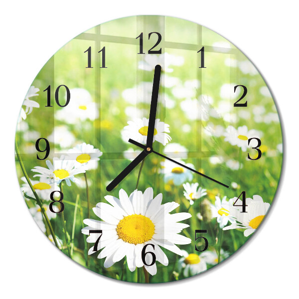 Runde wanduhr Gänseblümchen