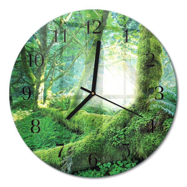 Runde wanduhr Waldmoos