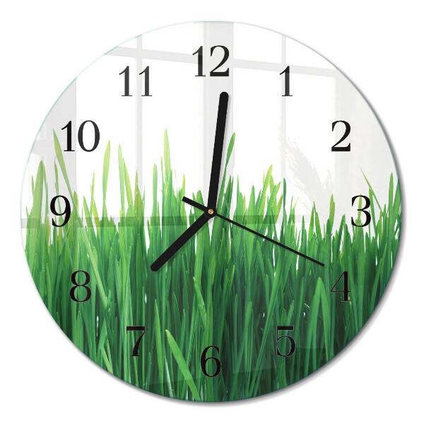 Glas wanduhr mit motiv rund Gras