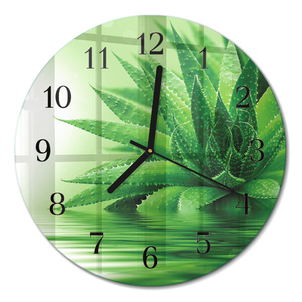 Runde wanduhr aus glas Aloe