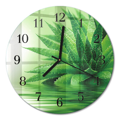 Runde wanduhr aus glas Aloe