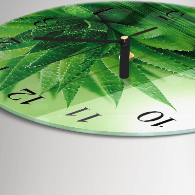Runde wanduhr aus glas Aloe