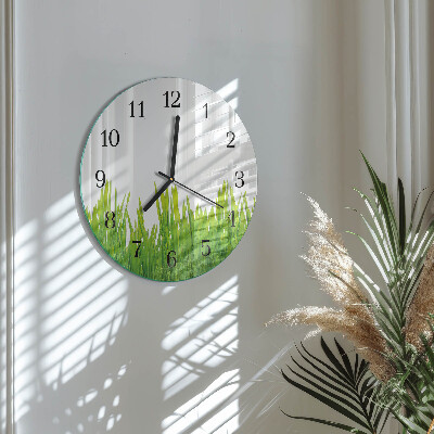 Runde wanduhr Gras