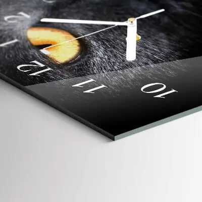 Wanduhr aus glas horizontal Kater