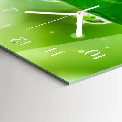 Wanduhr aus glas horizontal Morgentau