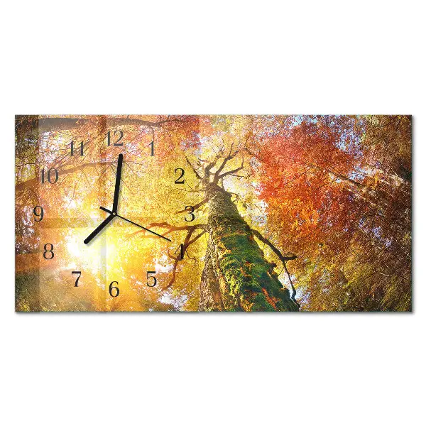 Wanduhr aus glas horizontal Herbstsaison